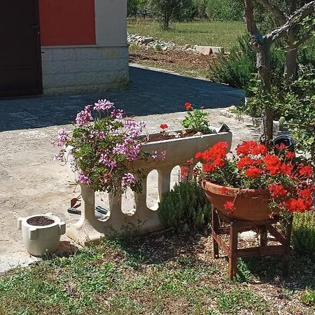 Casa Alle Vigne Polignano a Mare Exteriér fotografie