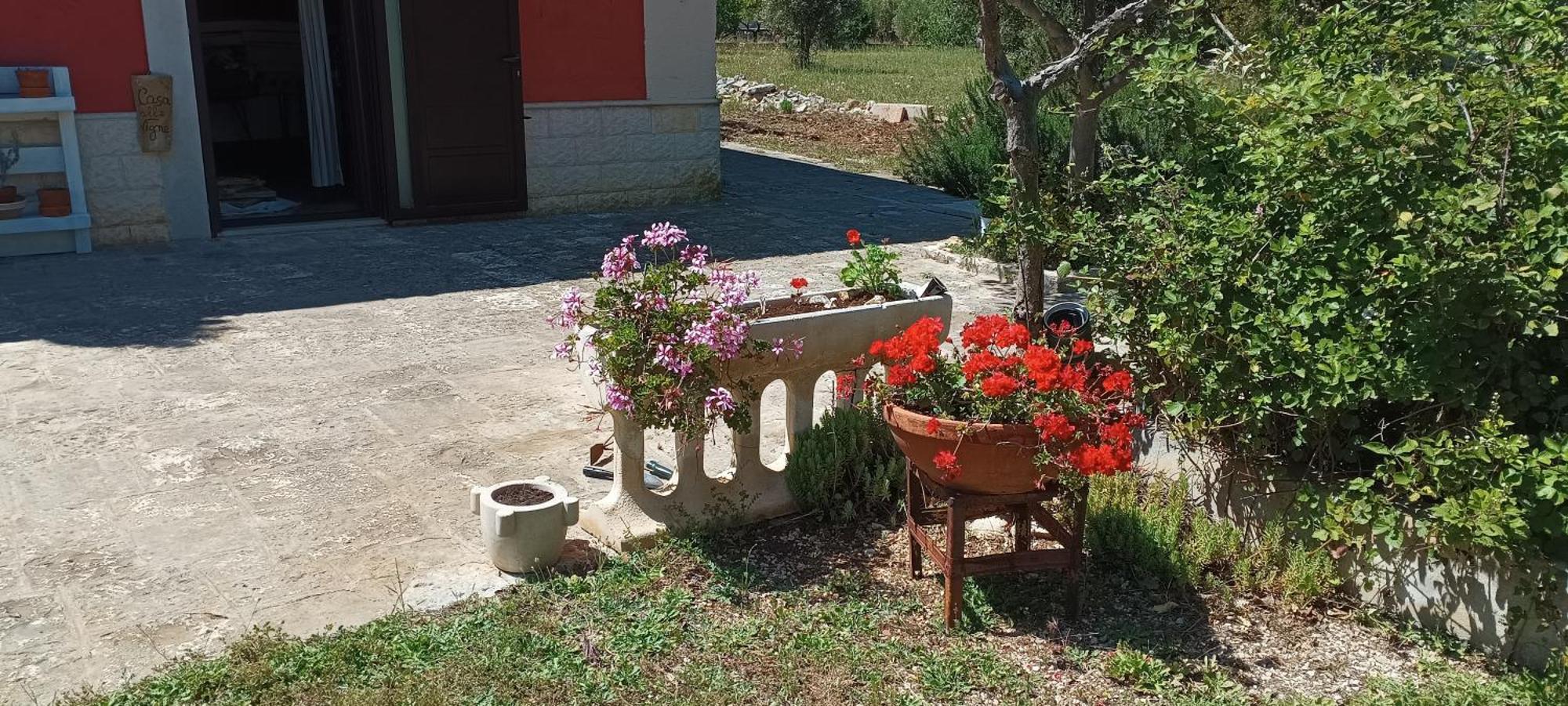Casa Alle Vigne Polignano a Mare Exteriér fotografie
